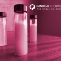 E-02a- rose yeast