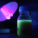 E-04a - GFP yeast broth