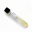 E-05a - Banana e-coli