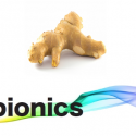 Ginger flavour βeta-elemene made by E-15a Ginger / βeta-elemene  Bacteria