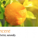 eve-valencene-copy-2