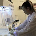 GreenLab workshop
